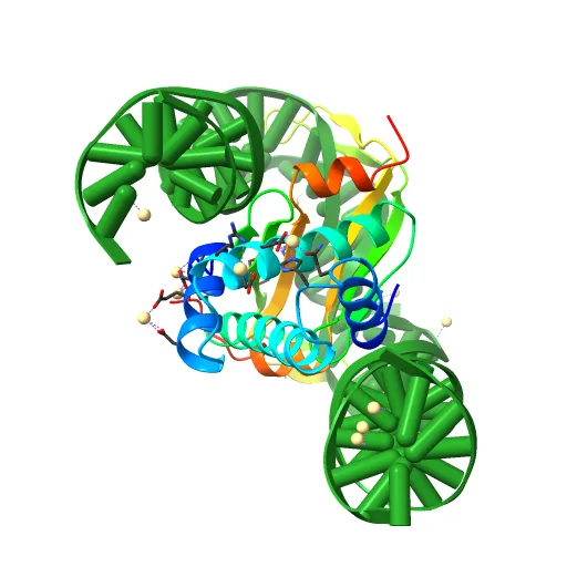 INTEGRATION HOST FACTOR/DNA COMPLEX — Фото 10 из 13