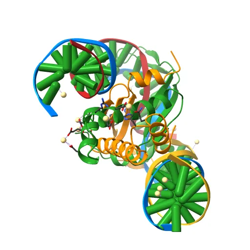 INTEGRATION HOST FACTOR/DNA COMPLEX — Фото 12 из 13