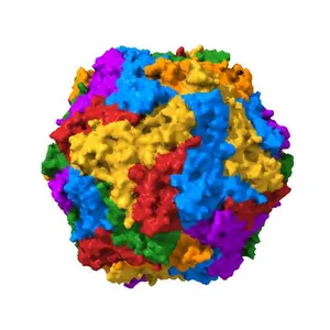 The 2.3 A structure of porcine circovirus 2