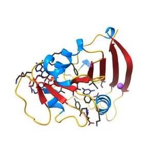 structure of DHFR with bound DAP, p-ABG and NADP