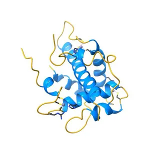 STRUCTURAL BASIS FOR HIF-1ALPHA/CBP RECOGNITION IN THE CELLULAR HYPOXIC RESPONSE