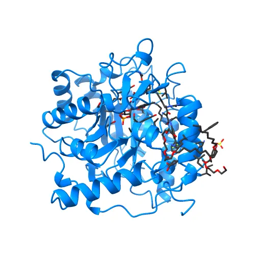 Plasmodium falciparum dihydroorotate dehydrogenase with a bound inhibitor — Фото 3 из 12
