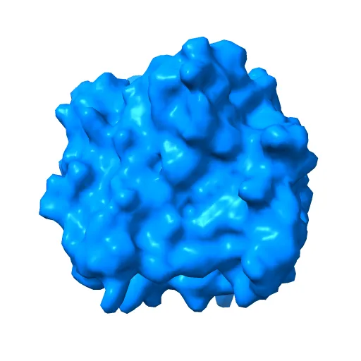 Plasmodium falciparum dihydroorotate dehydrogenase with a bound inhibitor — Фото 4 из 12