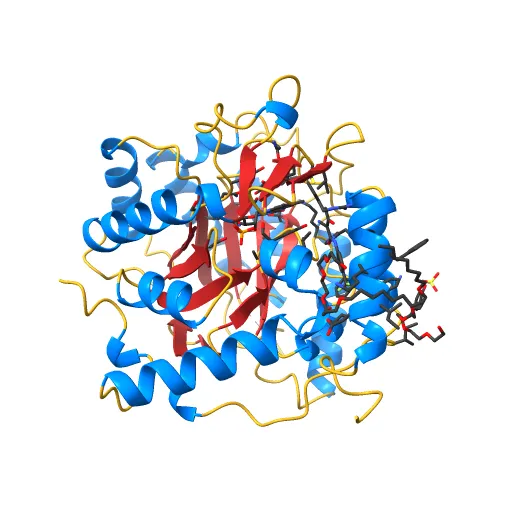 Plasmodium falciparum dihydroorotate dehydrogenase with a bound inhibitor — Фото 5 из 12