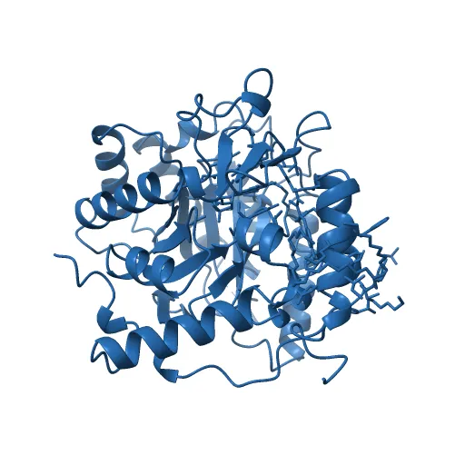 Plasmodium falciparum dihydroorotate dehydrogenase with a bound inhibitor — Фото 6 из 12