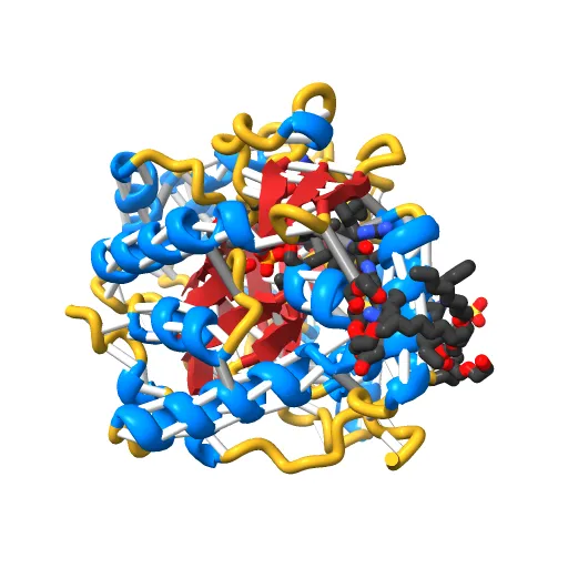Plasmodium falciparum dihydroorotate dehydrogenase with a bound inhibitor — Фото 7 из 12