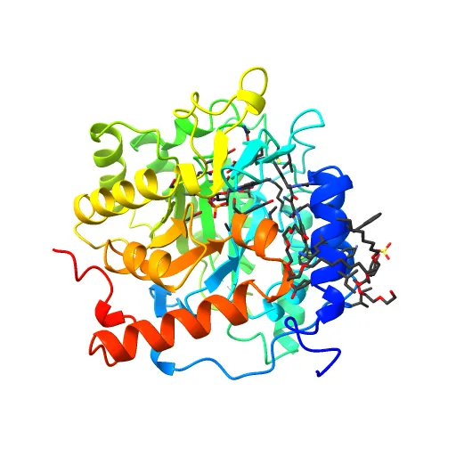 Plasmodium falciparum dihydroorotate dehydrogenase with a bound inhibitor — Фото 8 из 12