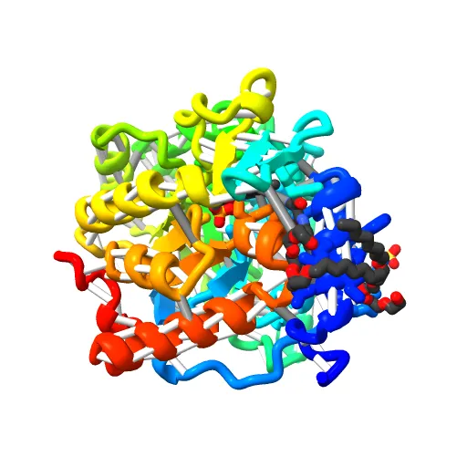 Plasmodium falciparum dihydroorotate dehydrogenase with a bound inhibitor — Фото 9 из 12