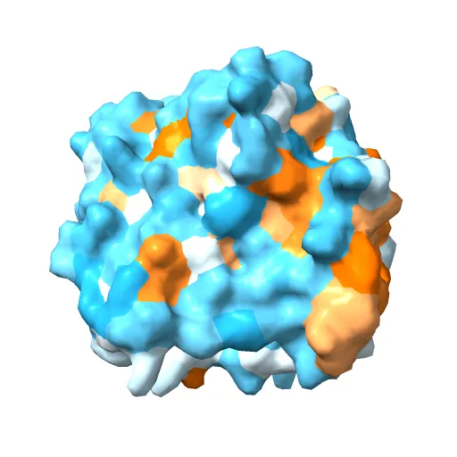Plasmodium falciparum dihydroorotate dehydrogenase with a bound inhibitor — Фото 10 из 12