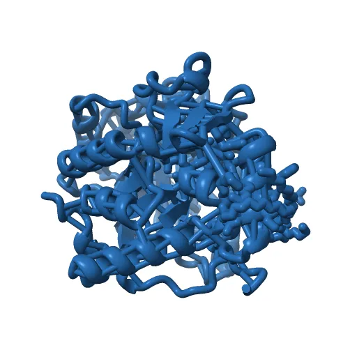 Plasmodium falciparum dihydroorotate dehydrogenase with a bound inhibitor — Фото 11 из 12