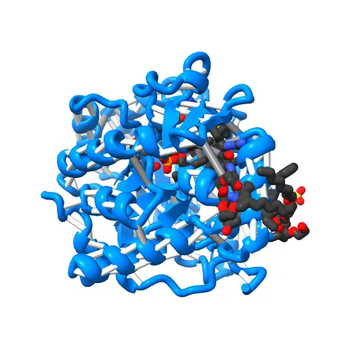 Plasmodium falciparum dihydroorotate dehydrogenase with a bound inhibitor — Фото 12 из 12