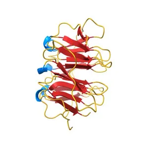 Crystal structure of the computationally designed Pizza2-SR protein