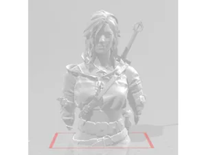 Bust - Ciri - The Witcher