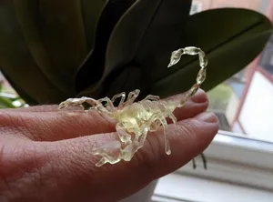 Жёлтый скорпион - Смертельный охотник