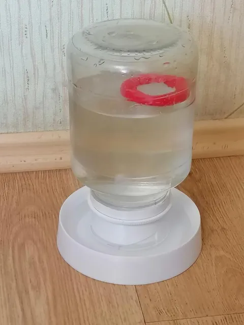 Поилка для подрощенных цыплят с регулировкой уровня воды.