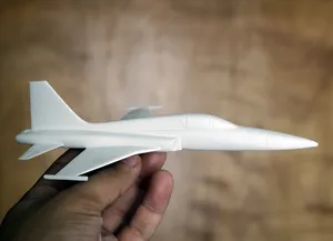 F5 Tiger scale model 1/64