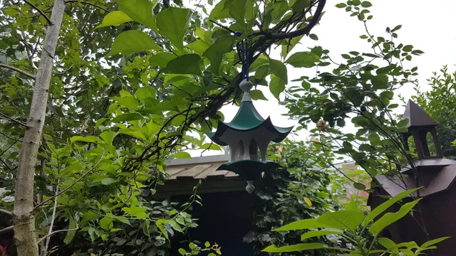 Little Bird Feeder Air Temple — Фото 4 из 11