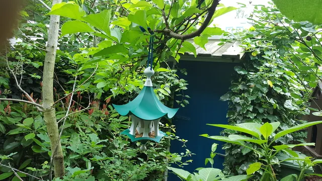Little Bird Feeder Air Temple — Фото 5 из 11