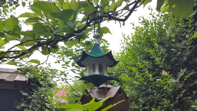 Little Bird Feeder Air Temple — Фото 6 из 11
