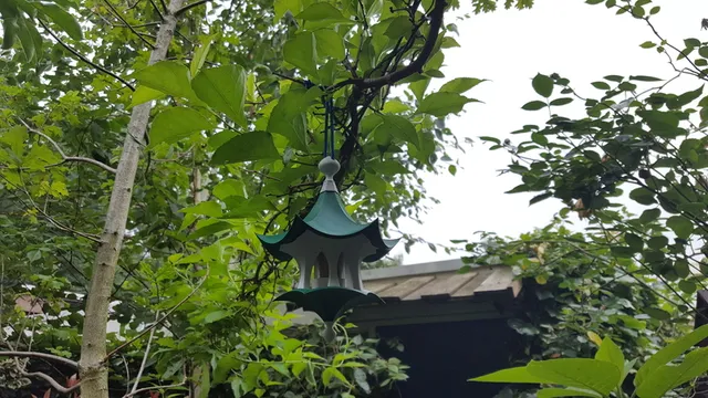 Little Bird Feeder Air Temple — Фото 7 из 11
