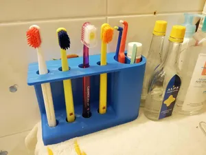 Toothbrush, toothpaste and accessories holder