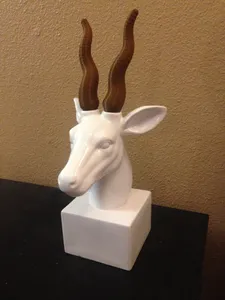 Gazelle Horns
