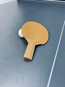 Ping pong paddle