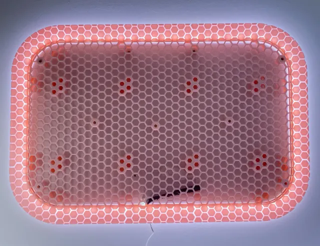 Honeycomb storage wall with LED (HSW) — Фото 8 из 8