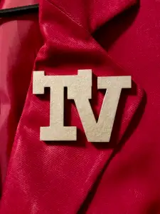Mr. Ant Tenna 's Belt Buckle and TV Pin