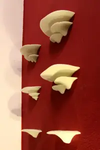 Large Mushroom Shelves with wall mount bracket and two more designs