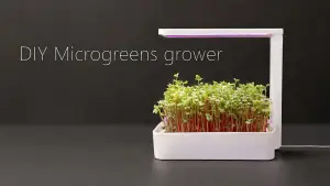 MicroGrenn Farm