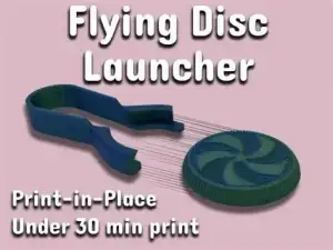13 Discs for disc launcher and 1 disc holder