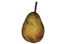Model of Pear