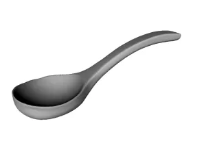 Ladle
