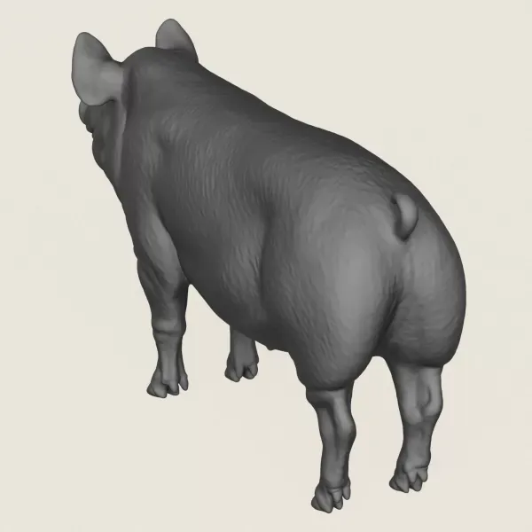 Pig Print Ready 3D Model — Фото 5 из 5