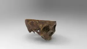 Open skull