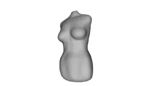 Female Torso