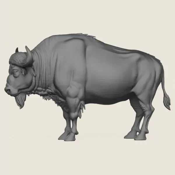 Wild Buffalo Print Ready 3D Model — Фото 3 из 6