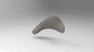 Anatomic Structure of a Feet