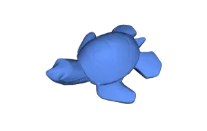 Decorative Turtle