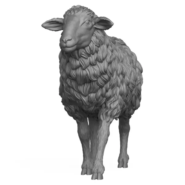 3D Printable Sheep Standing Pose — Фото 2 из 7