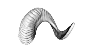 Ram's Horn