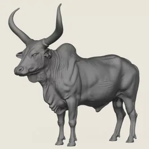 Indian Bull Print Ready 3D Model