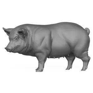 3D Printable Pig Hog Pet Animal
