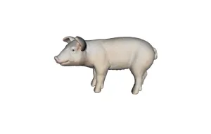 Baby Pig Toy