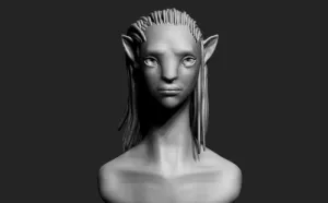 Avatar