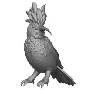 Eurasian Hoopoe Bird