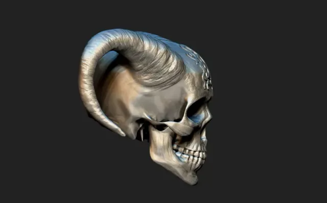 skull — Image 3 of 5