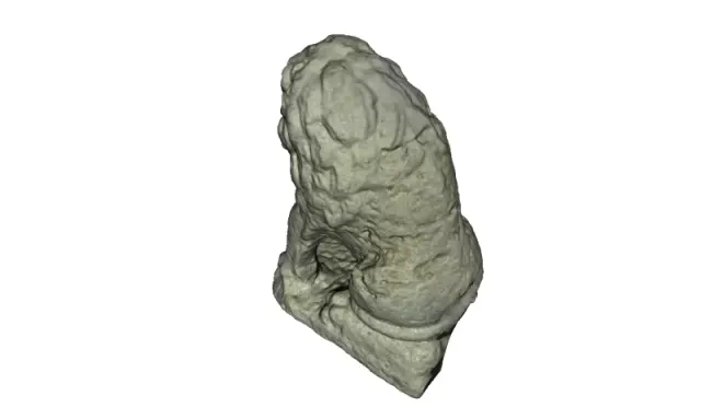 Ancient Roman Statue of a Lion — Фото 4 из 4