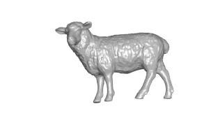 Sheep 3d model